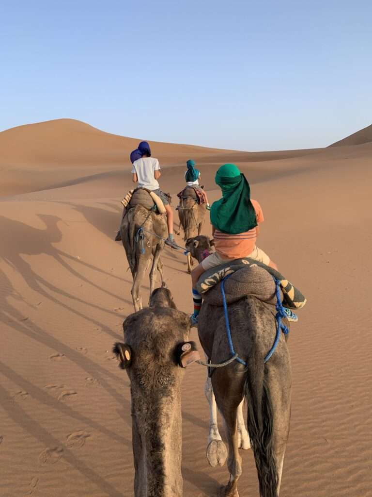 En Camello en las dunas de Erg Chigaga en Marruecos